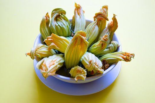 fried squash blossoms