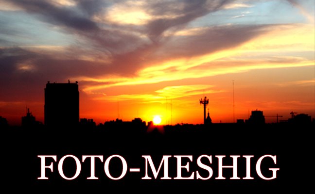 Foto-MeshiG