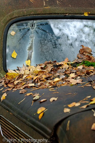 Autumn in B stn s Car Cemetery Old Rusty Cars