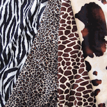 Minky Animal Prints