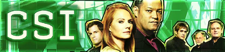 [CSI_BANNER.jpg]