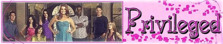 [BANNER_privileged.jpg]