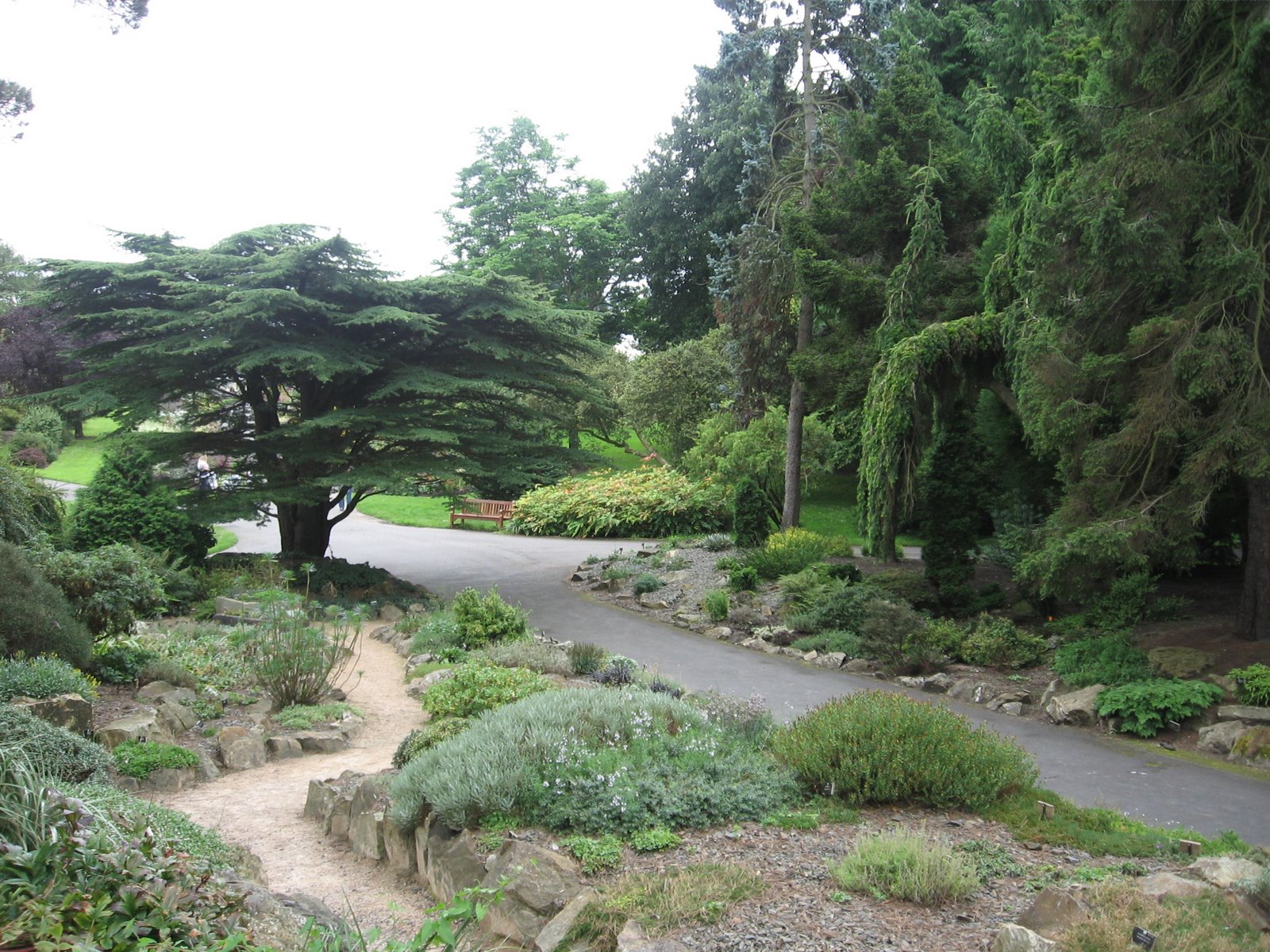 [IMG_5420.JPG]