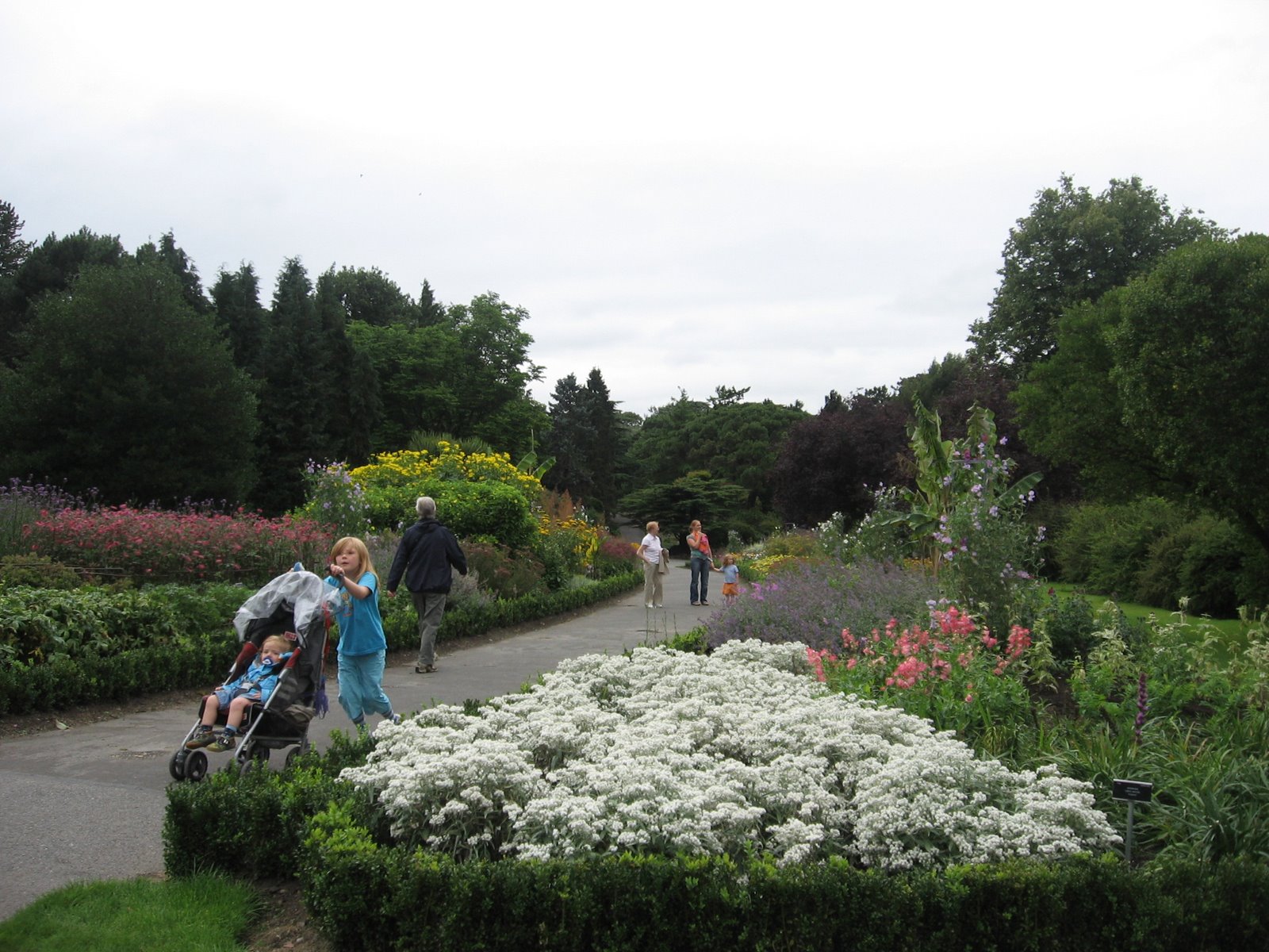 [IMG_5462.JPG]