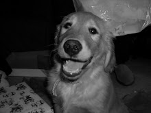 Gus