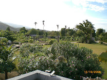 Lookin down on the  Creche from the roof.