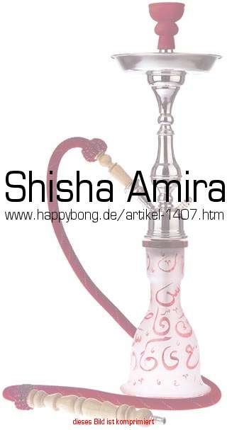[shisha.bmp]