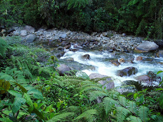 el milagro del agua en Piura