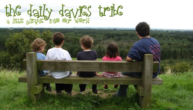 The Daily Daviestribe