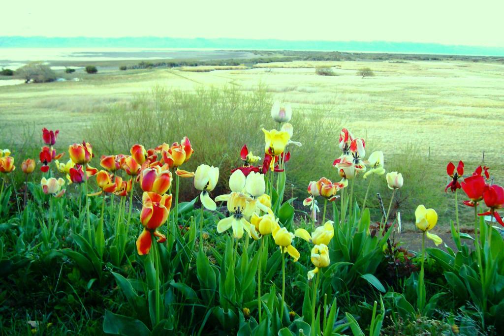 [El+Calafate+014.JPG]