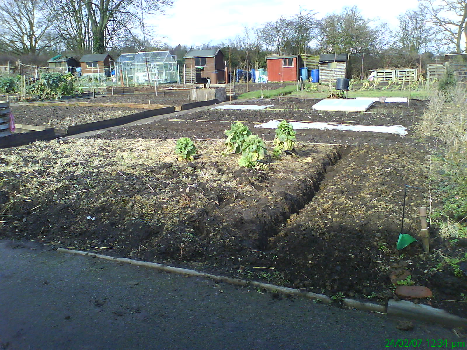 [allotment1+24feb07.JPG]