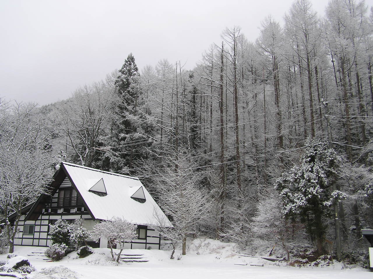 [Winter_in_Nagano__Japan_by_Olho.jpg]