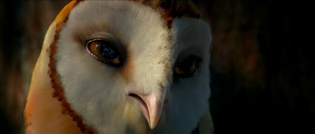 Legend of the Guardian2010 DVDRip XviD-MAX