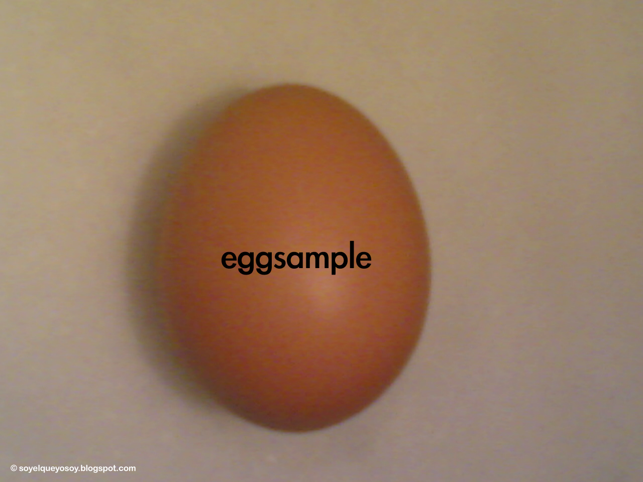 [eggsample.jpg]