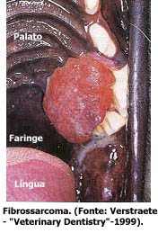[fibrosarcoma.jpg]