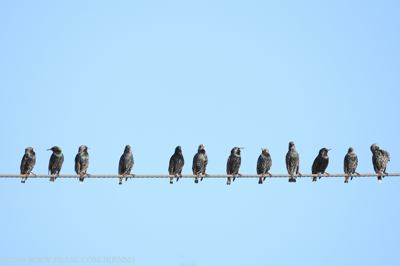 Melbourne, FL Weather Forecast