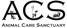 www.AnimalCareSanctuary.org