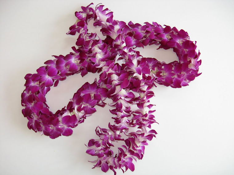 Orchid Leis from Best Flower Leis Graduation Lei Season starts soon!