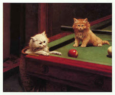 Snooker Kittens