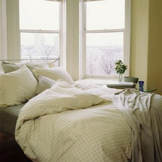 comfy_bed1258799600.jpg