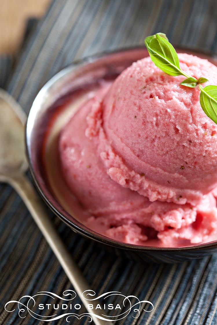 Chocolate Frozen Yogurt Recipe Low Fat Chocolate Frozen Yogurt Recipe Low Fat