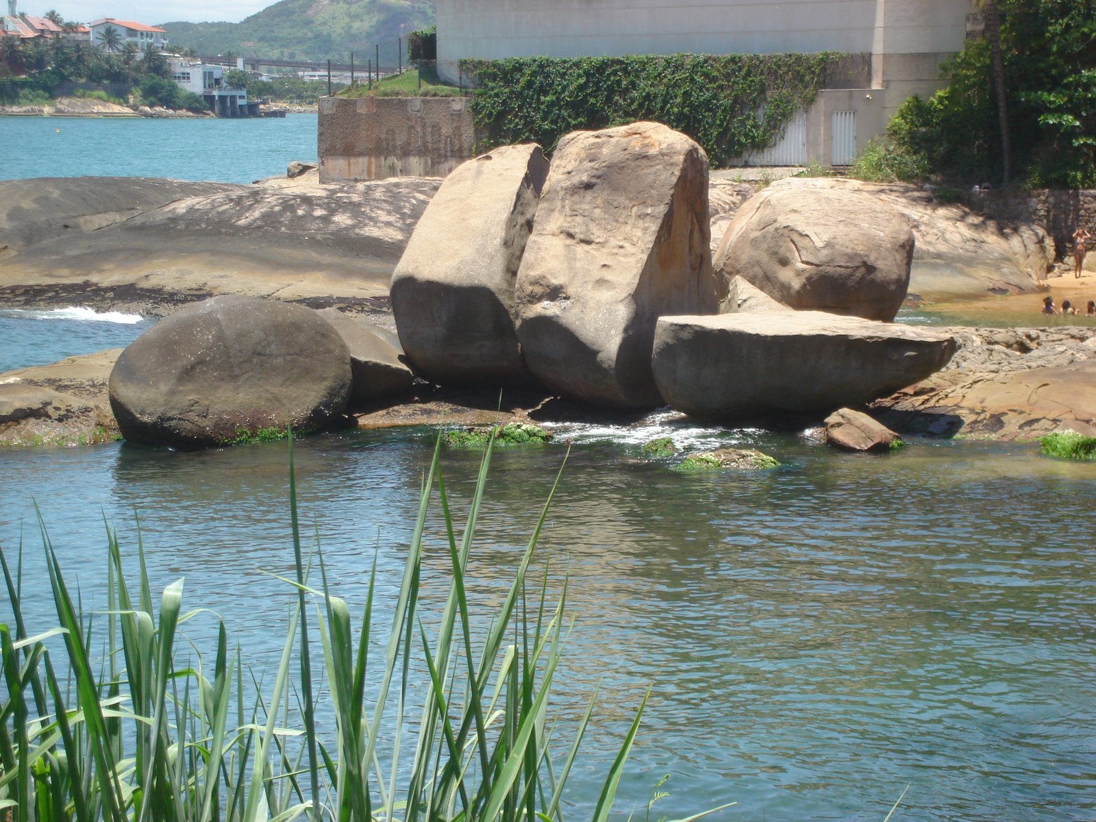 [DSC01423.JPG]