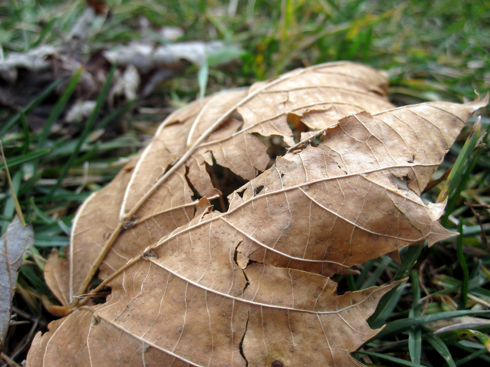 [IMG_3821.JPG]