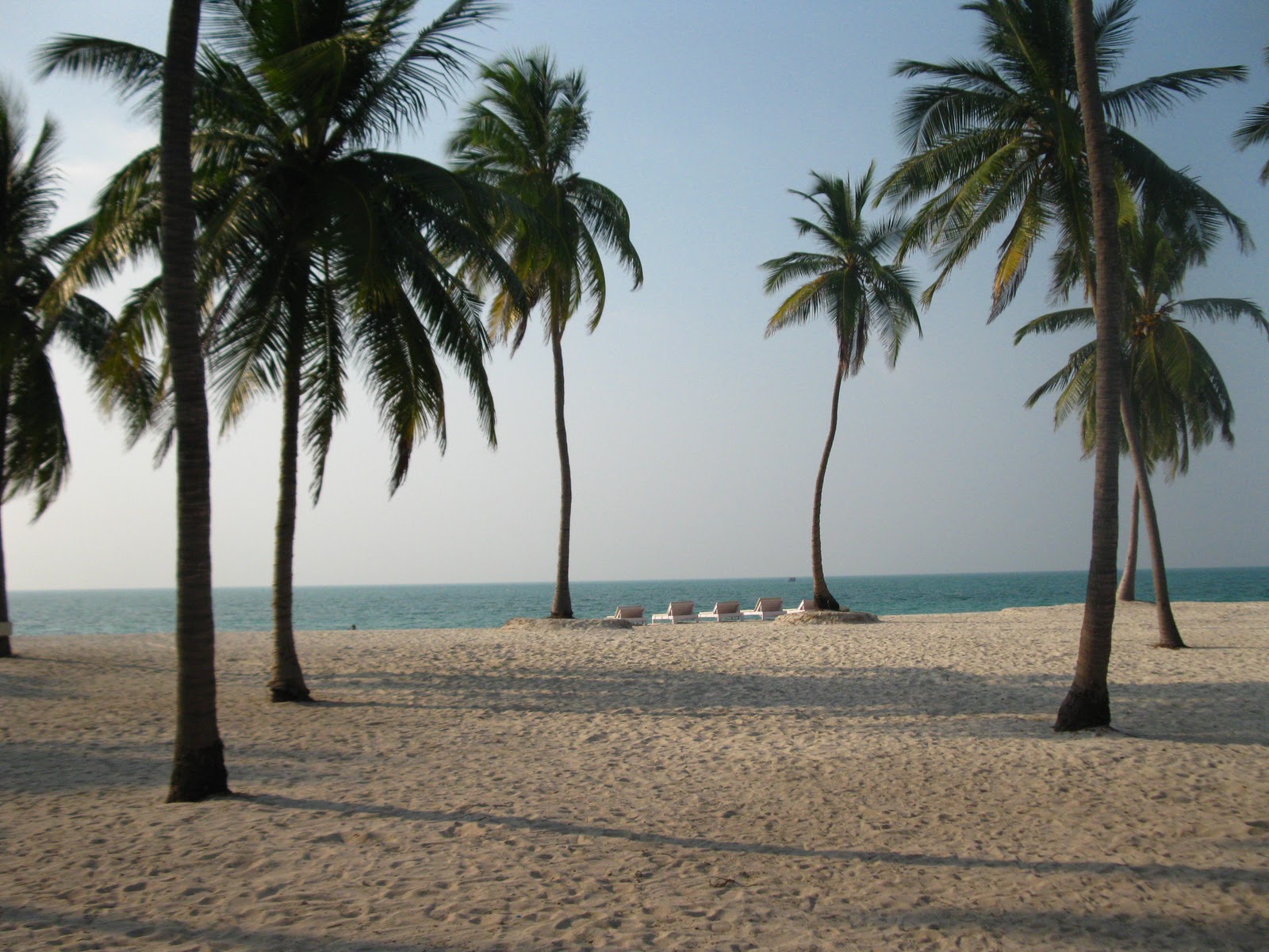 Arabian Nights in The Arabian