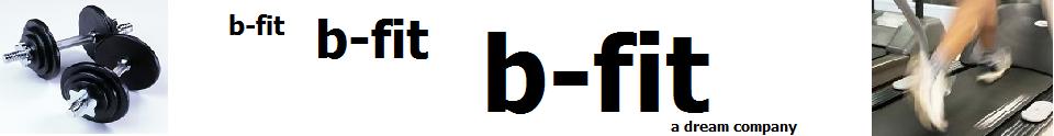 b-fit, A Dream Company