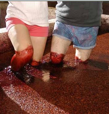 [vinho.bmp]
