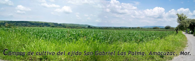 Campos de cultivo del Ejido de San Gabriel Las Palmas