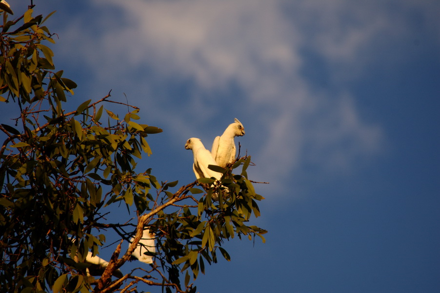 [DSC_9236.jpg]
