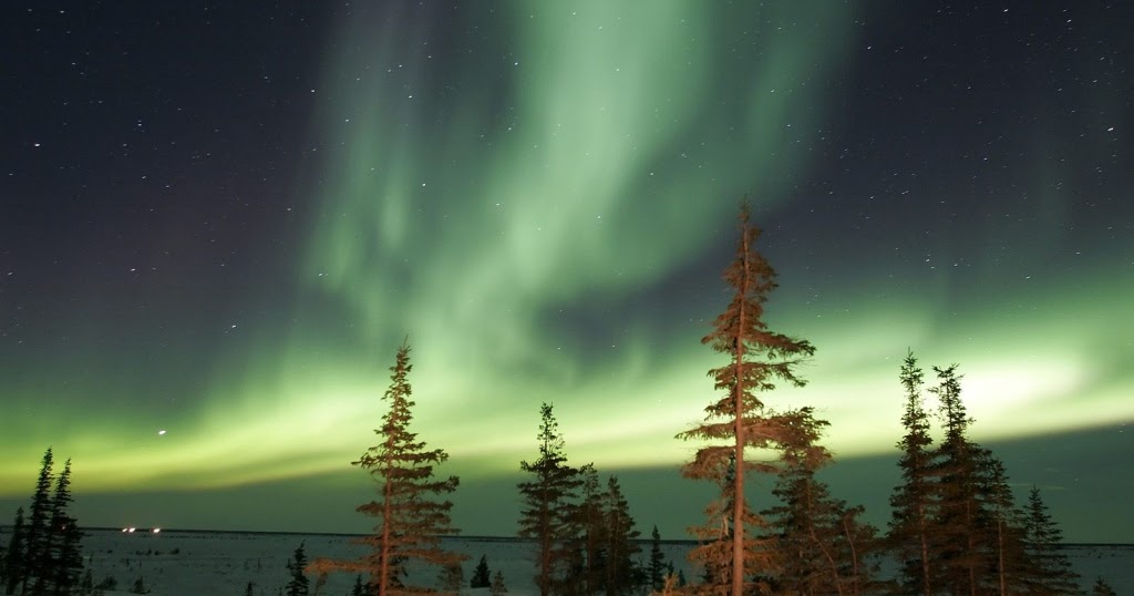 wallpaper: Aurora Wallpaper