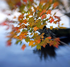 Wonderfull Nature....!!