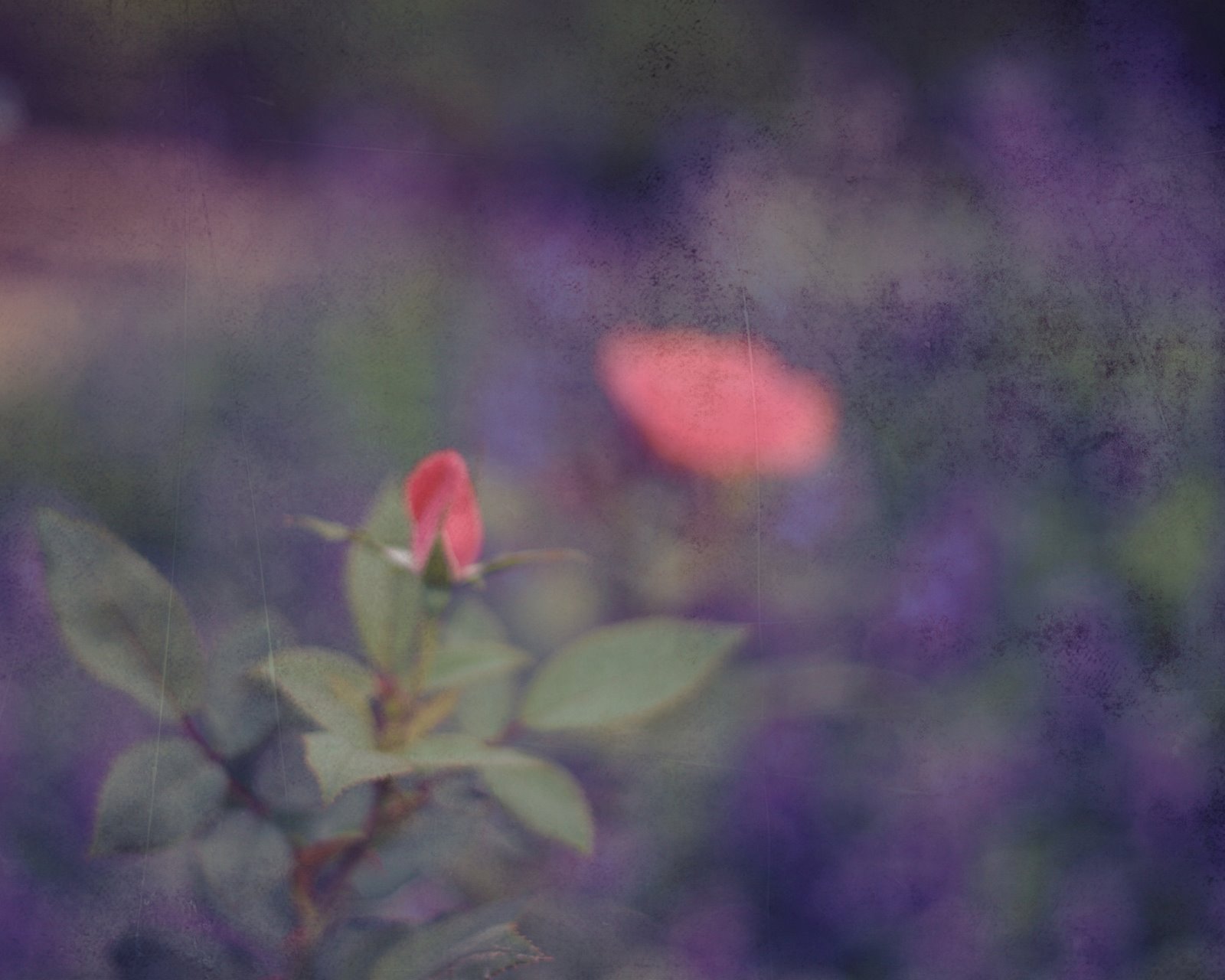 throw salt over your left shoulder three parts whimsy