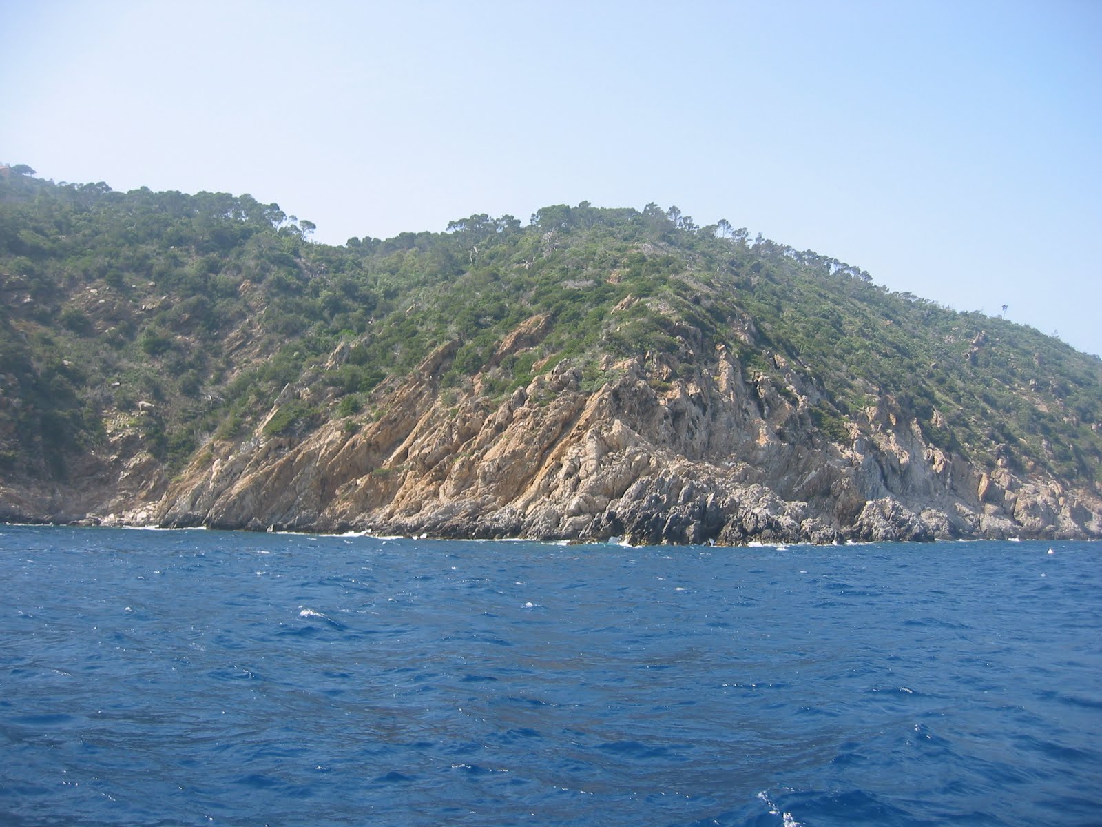[IMG_0294.JPG]