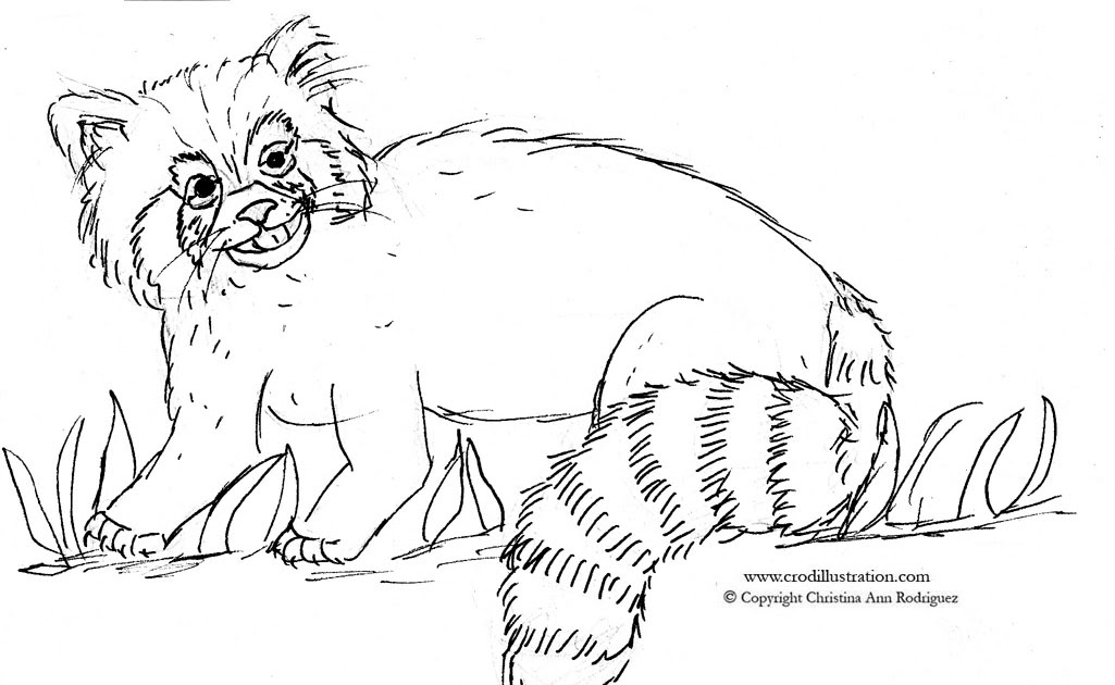 Crod Artblog Color Me Red Panda