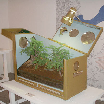[maison_foret.jpg]