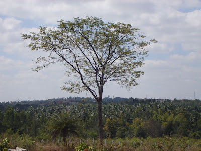 Bangalore