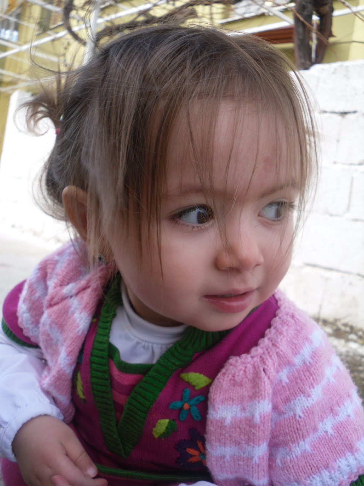[SDC17279.JPG]