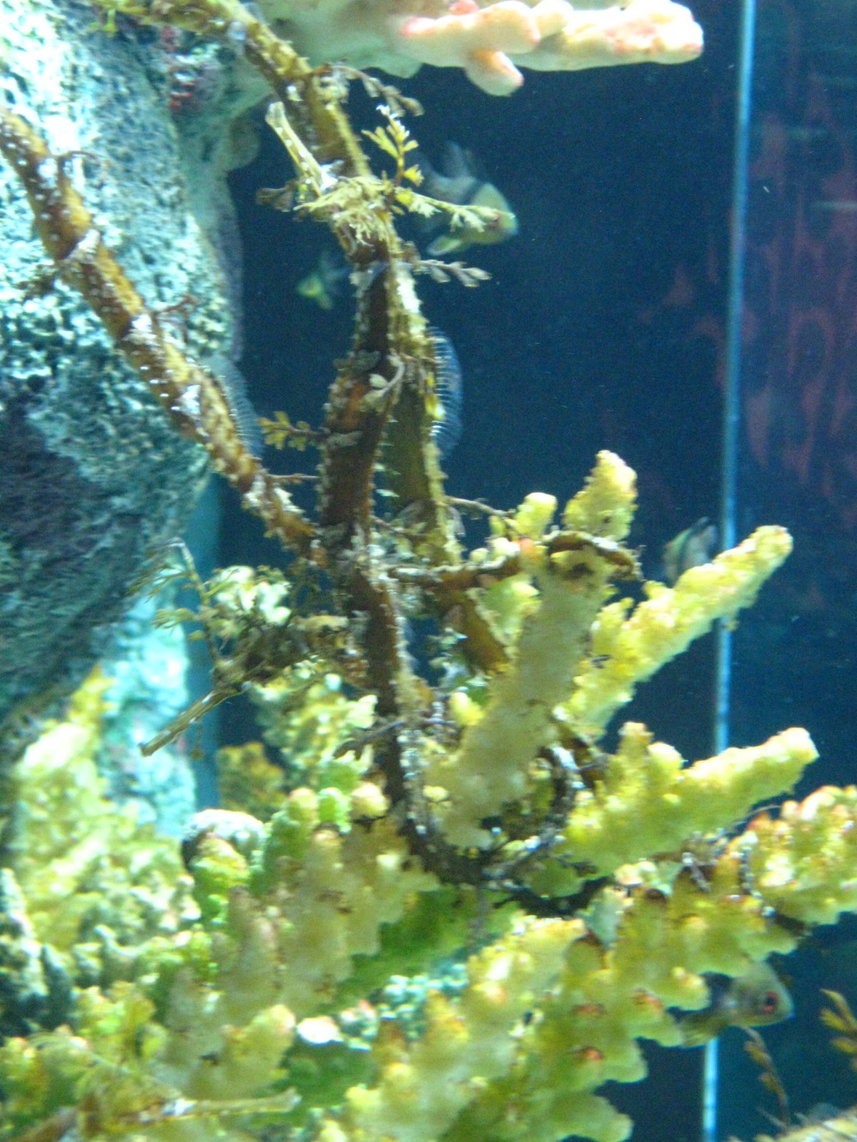 [IMG_0921.JPG]