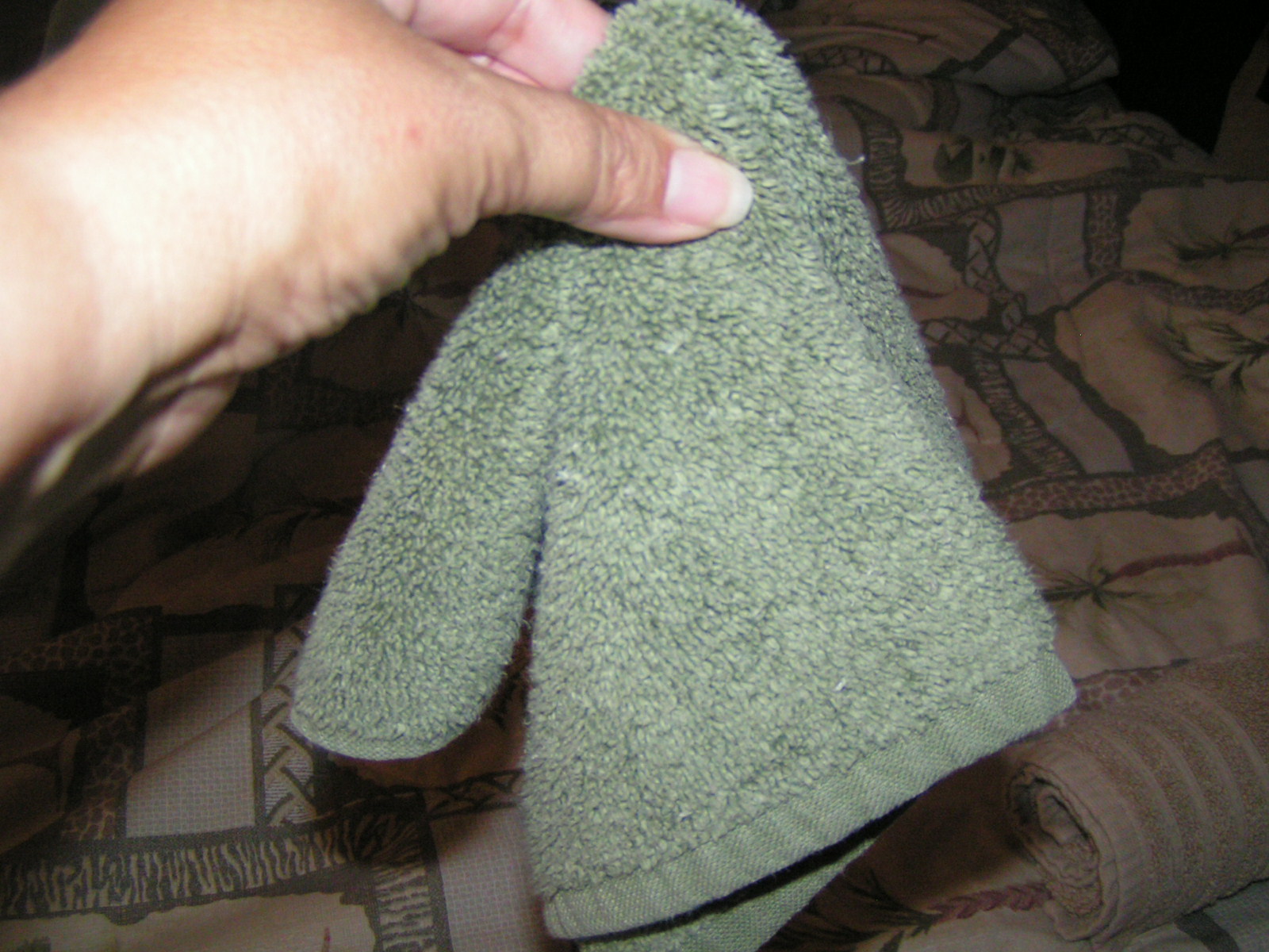 Corpany Creative Clearinghouse Towel Origami Palm Tree