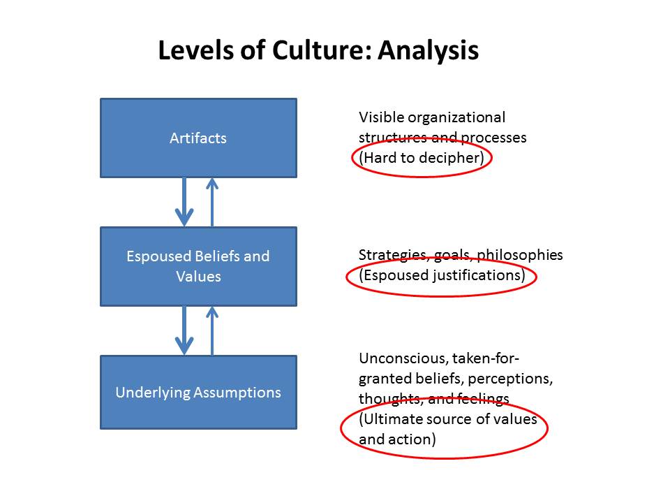 Delving Deeper Levels of Culture Thoughts from CPI Professionals