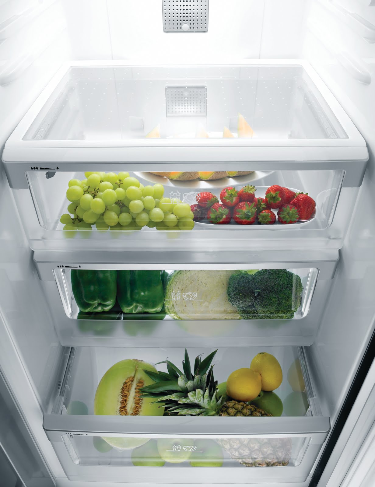 Electrolux Refrigerators THE WEB MAGAZINE