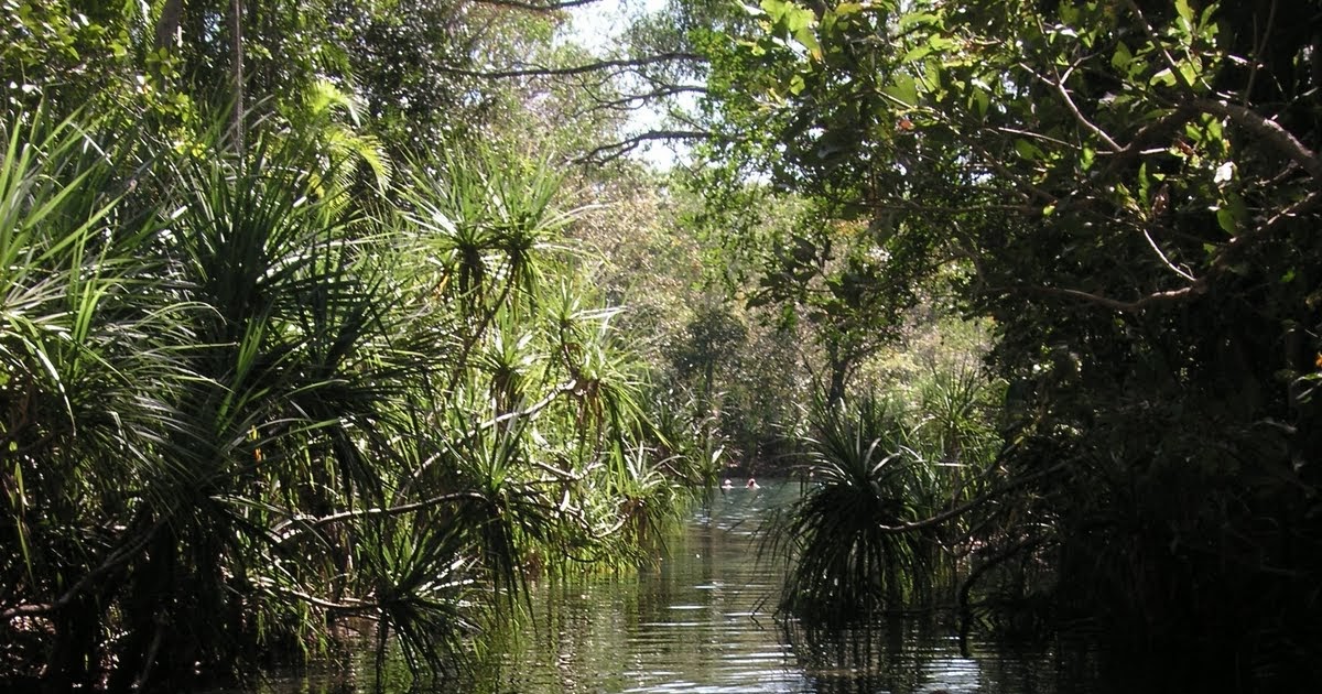 On the Road v2.0 Berry Springs Northern Territory