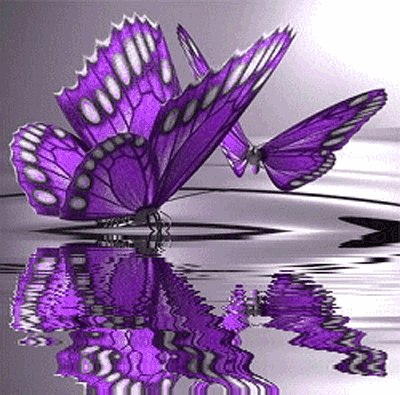 I am dreaming of PURPLE BUTTERFLIES They are constantly in my head these 