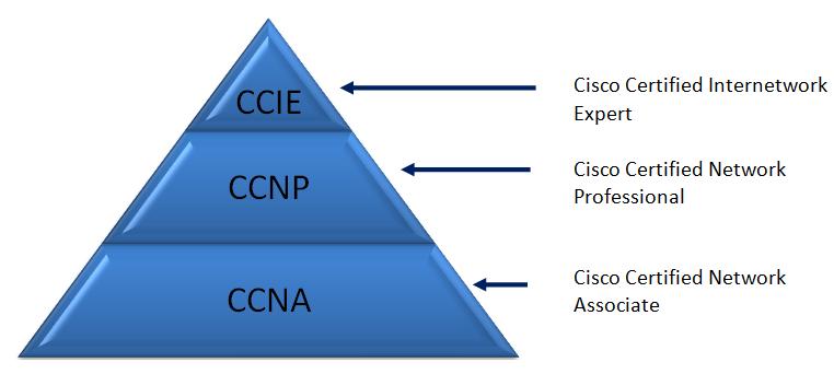 mis cisco case essay mis cisco case essay