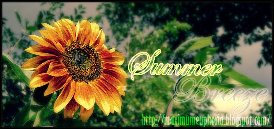 .::FEEL THE SUMMER BREEZE::.