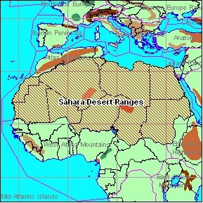 sahara desert africa countenance