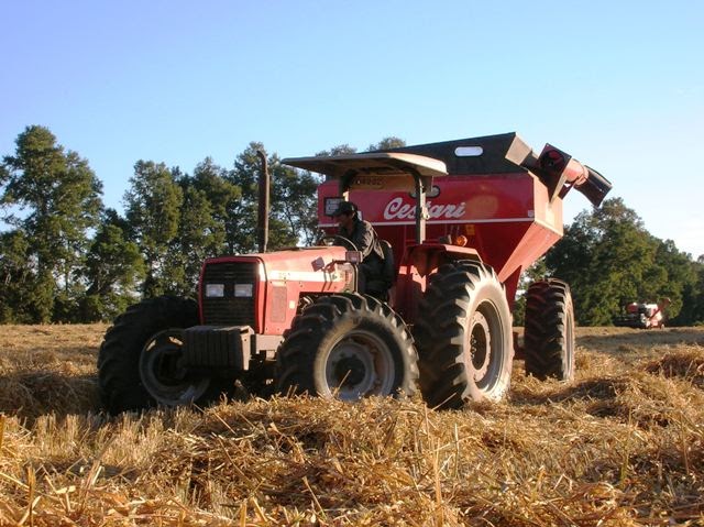Ventas Agrícolas 2009: Tractor Massey Ferguson Advanced modelo MF290